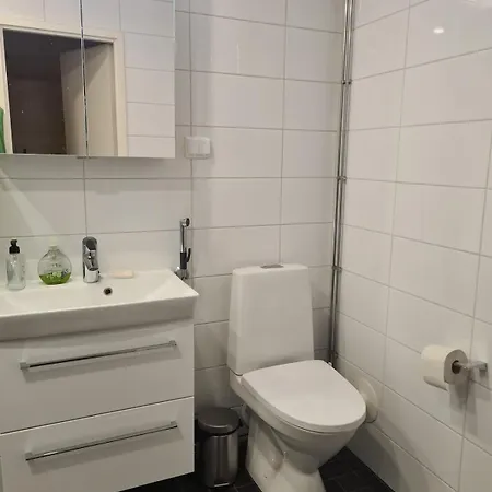 Huoneisto Spacious, Renovated Studio With Parking Place *