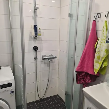Huoneisto Spacious, Renovated Studio With Parking Place *