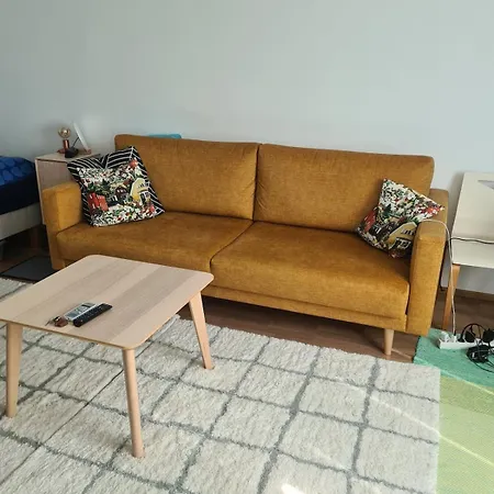 Huoneisto Spacious, Renovated Studio With Parking Place *